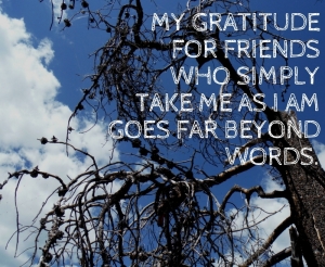 My gratitude for friends